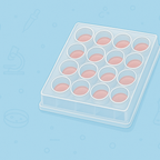 Organoid Culture Plates